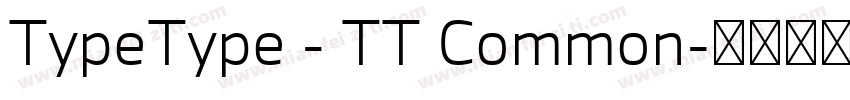 TypeType - TT Common字体转换